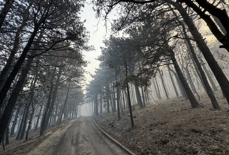 Apokaliptične fotografije uništene šume parka Biokovo