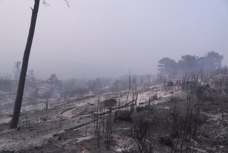 Apokaliptične fotografije uništene šume parka Biokovo