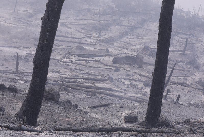 Apokaliptične fotografije uništene šume parka Biokovo