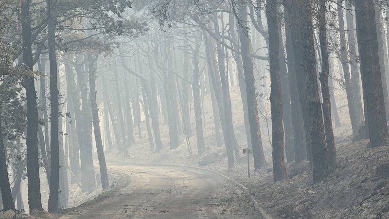 Apokaliptične fotografije uništene šume parka Biokovo