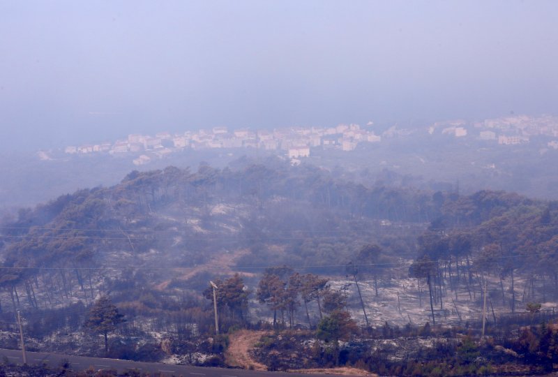 Apokaliptične fotografije uništene šume parka Biokovo