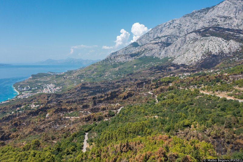 Biokovo nakon požara