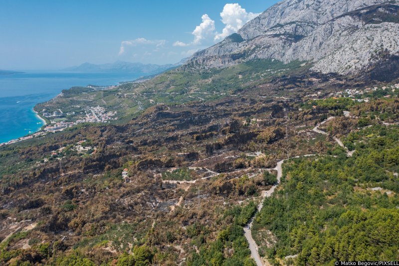 Biokovo nakon požara