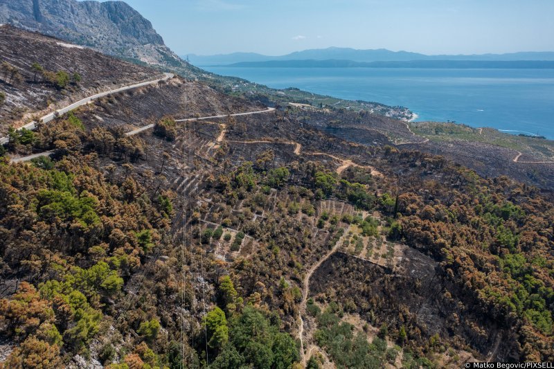 Biokovo nakon požara