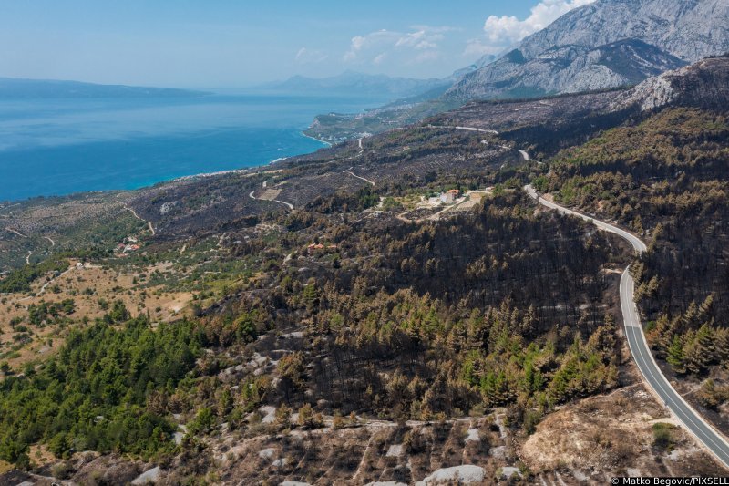 Biokovo nakon požara