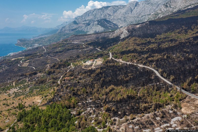 Biokovo nakon požara