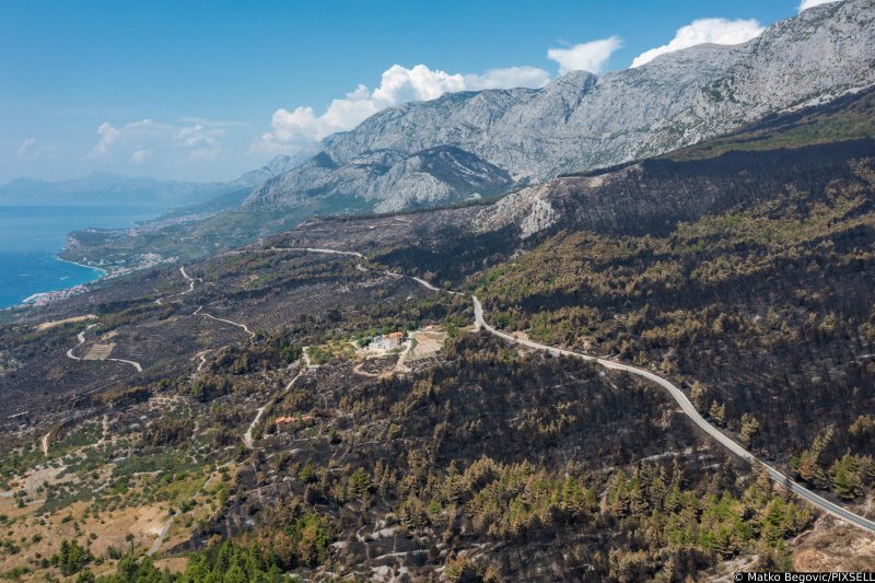 Biokovo nakon požara