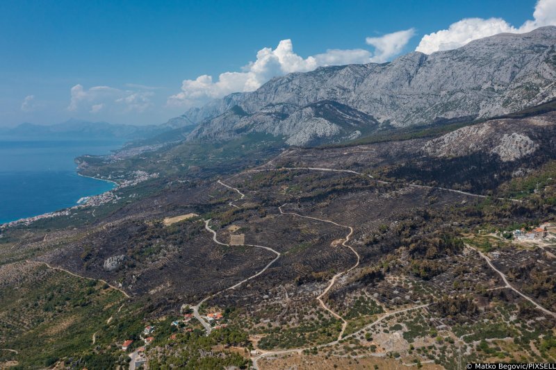 Biokovo nakon požara