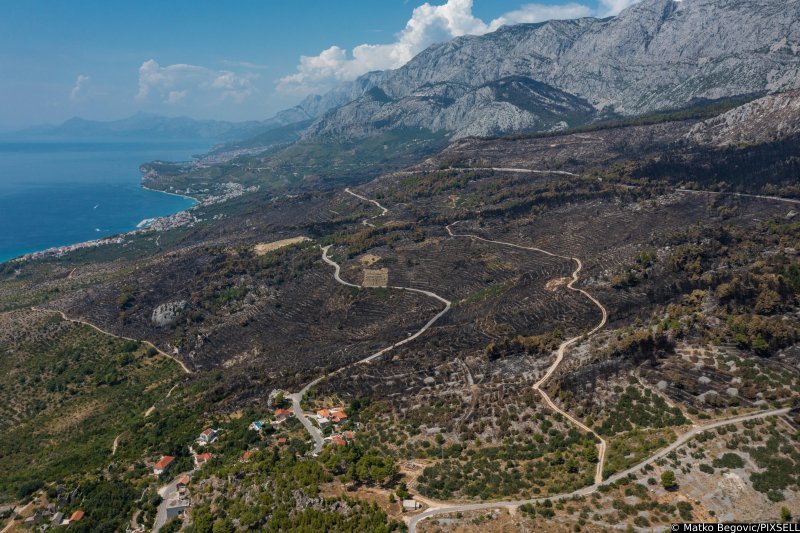 Biokovo nakon požara