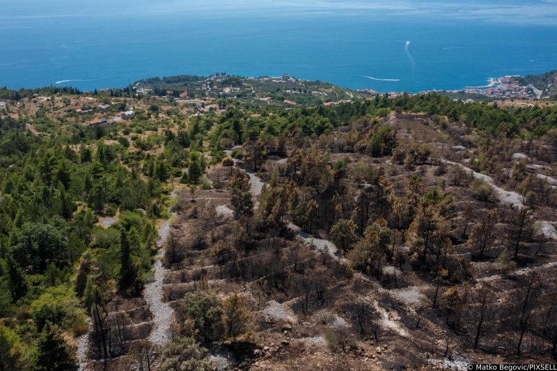 Biokovo nakon požara