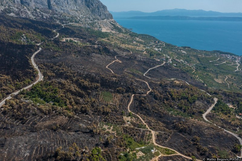 Biokovo nakon požara