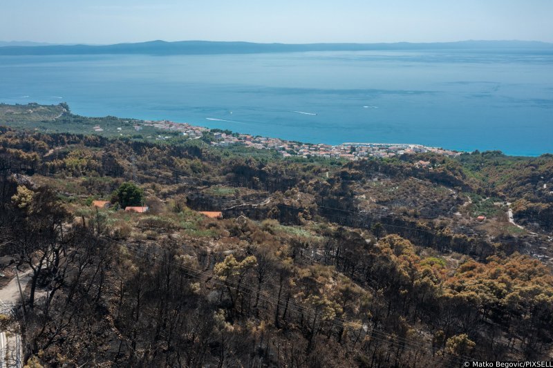 Biokovo nakon požara