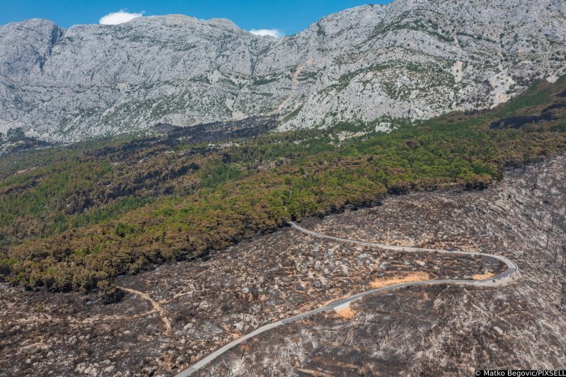 Biokovo nakon požara