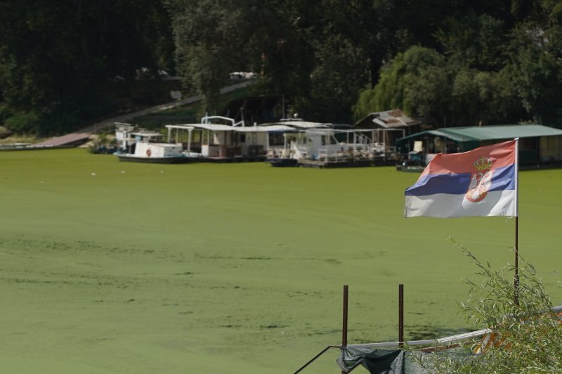 Sava u Beogradu zelene boje