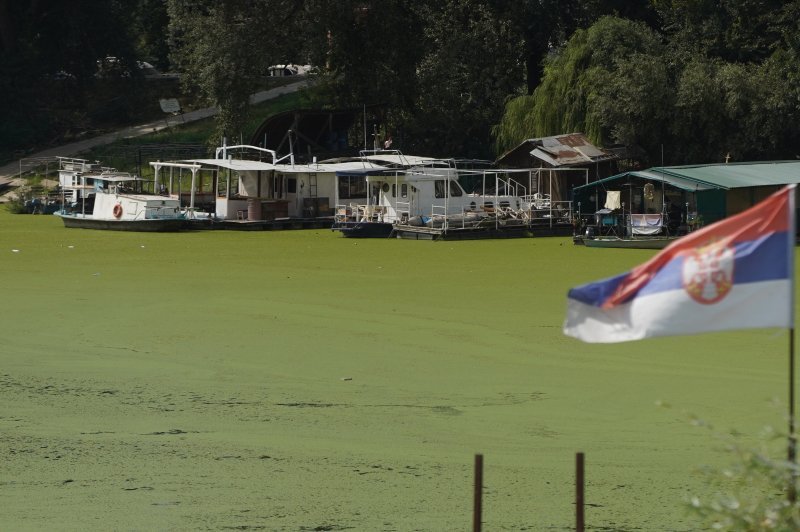 Sava u Beogradu zelene boje