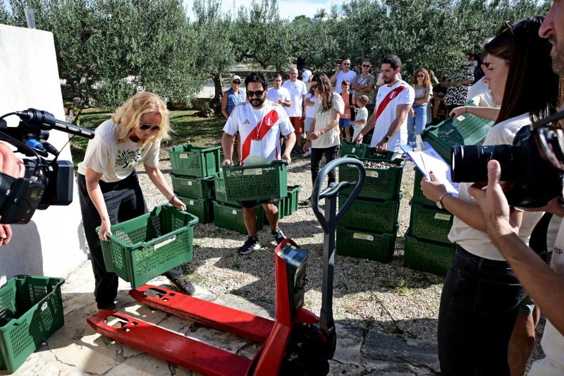 prvenstvo u branju maslina