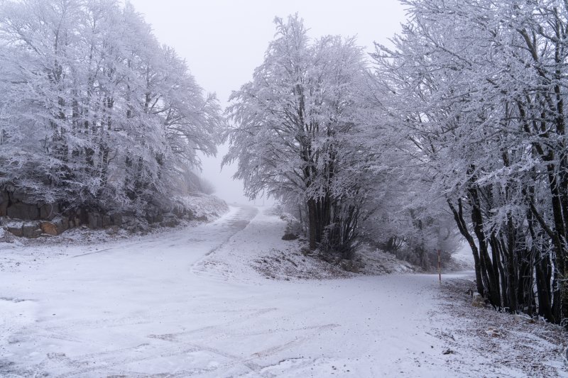 Snijeg na Zavižanu