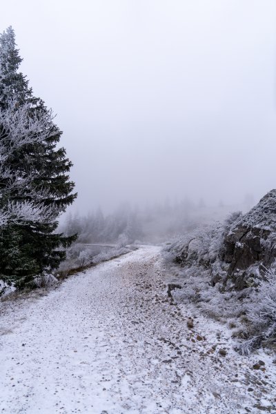 Snijeg na Zavižanu