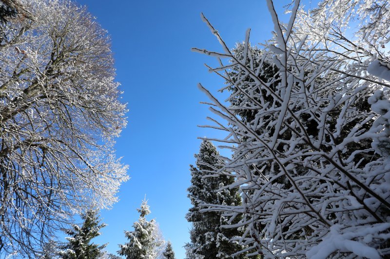 Lokve, Gorski kotar