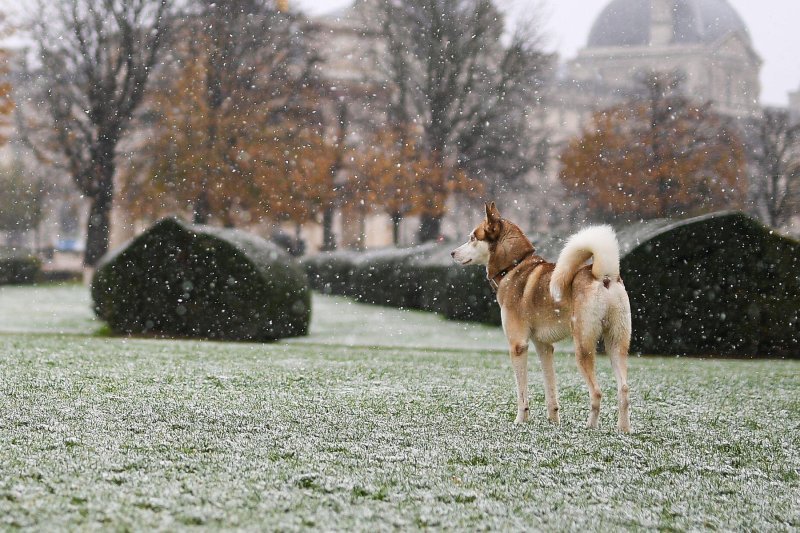 Pariz pod snijegom