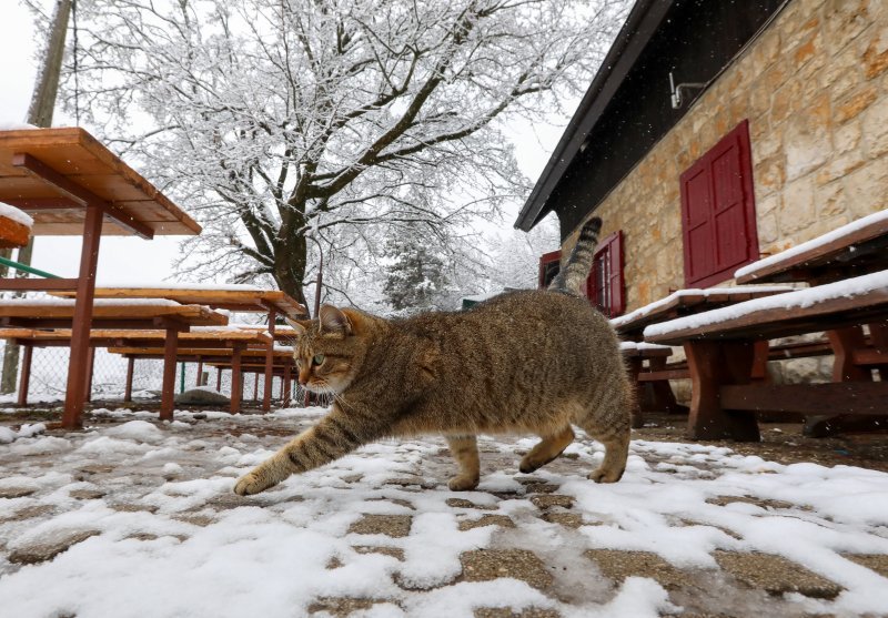 imska idila na Zelenoj magistrali iznad zagrebačkog naselja Gajnice