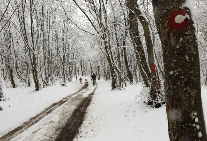 imska idila na Zelenoj magistrali iznad zagrebačkog naselja Gajnice