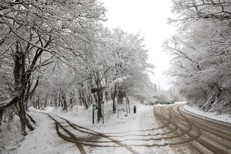 imska idila na Zelenoj magistrali iznad zagrebačkog naselja Gajnice