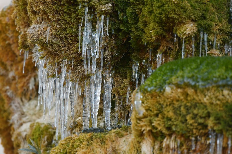 Perivoju Luje Maruna u Šibeniku