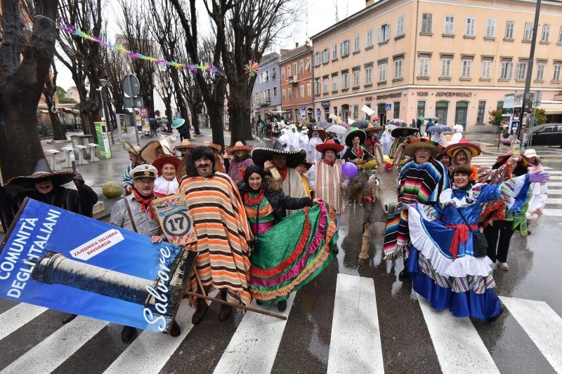 Vesela povorka maškara prodefilirala centrom Pule