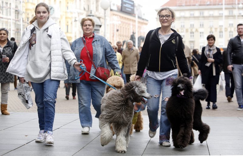 Nedjelja u Zagrebu