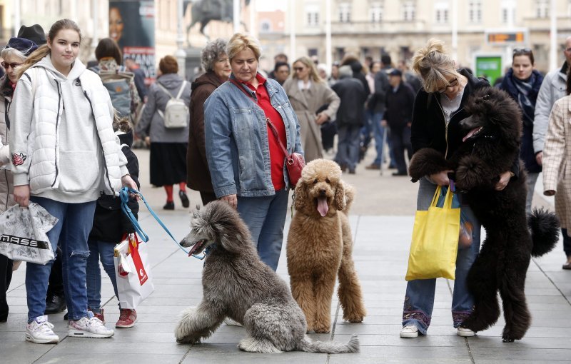 Nedjelja u Zagrebu