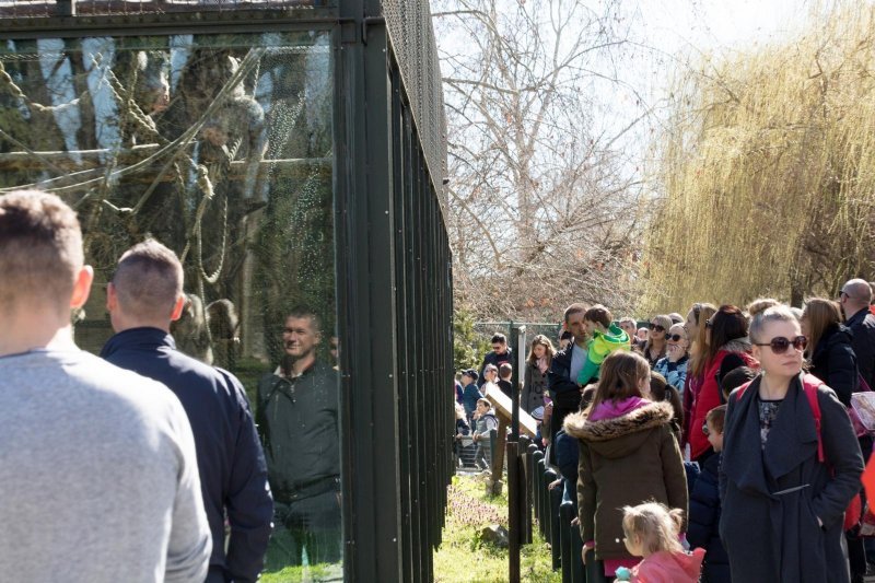 Osijek: Brojne obitelji na Uskrsni ponedjeljak posjetile Zoološki vrt