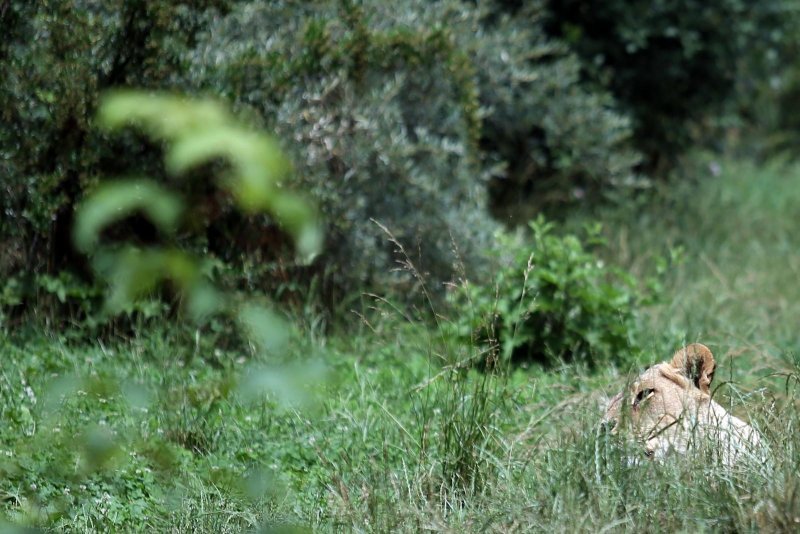 Zoološki vrt u centru Zagreba proslavio svoj veliki 93. rođendan