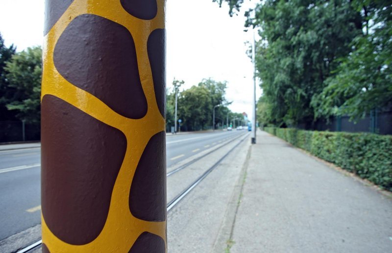 Zoološki vrt u centru Zagreba proslavio svoj veliki 93. rođendan