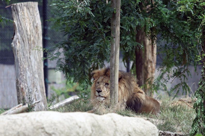 Zoološki vrt u centru Zagreba proslavio svoj veliki 93. rođendan