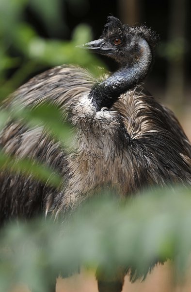 Zagrebački ZOO proslavio 93. rođendan