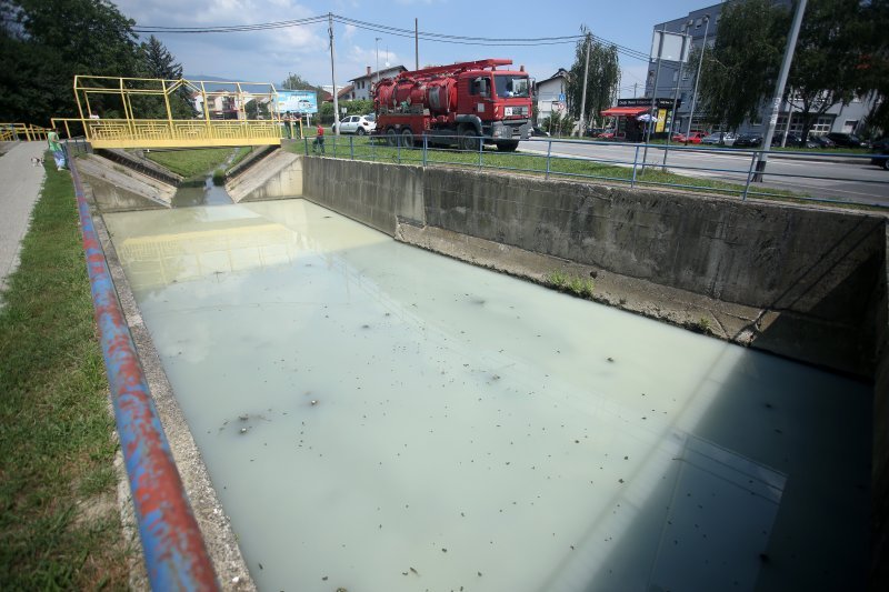 Mutnim potokom Kustošak plutaju uginule ribe