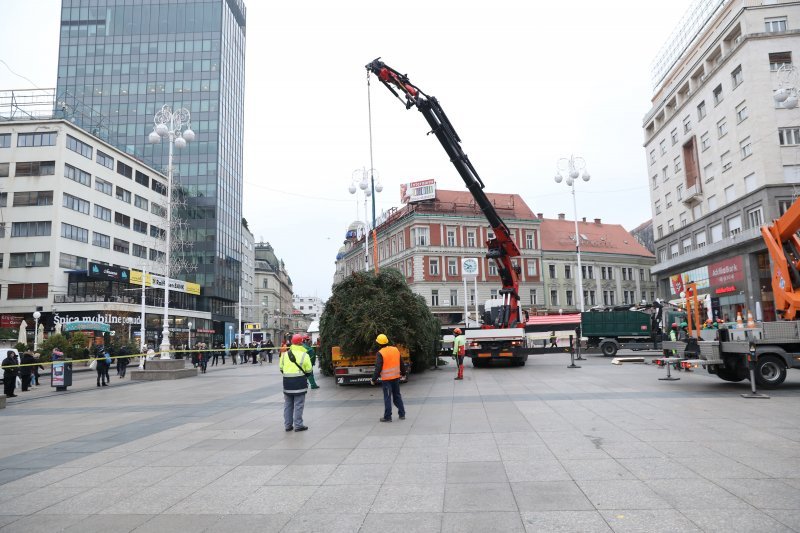 Postavljanje doniranog bora na Trg bana Jelačića