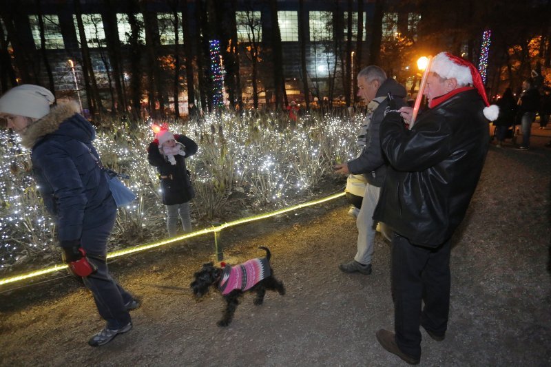 Advent u Maksimiru