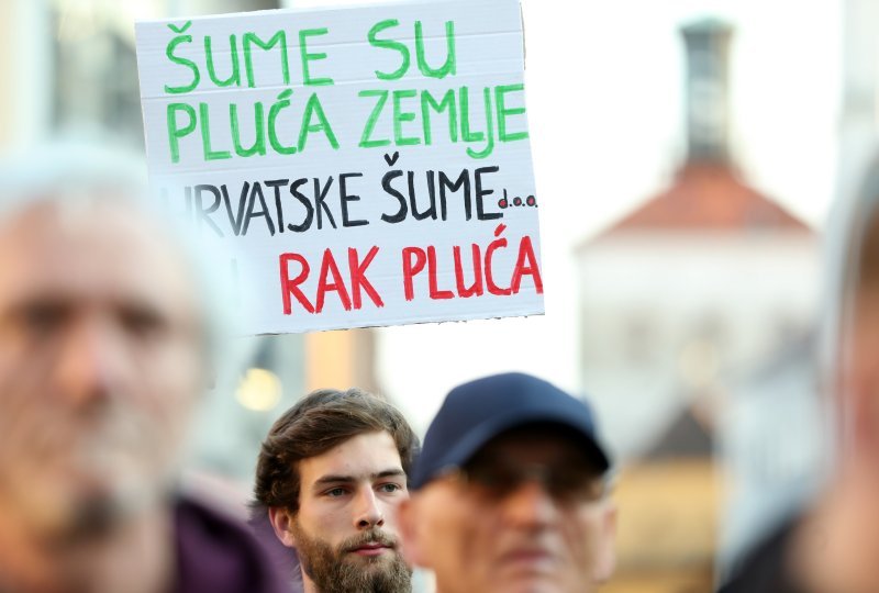 Prosvjed zbog sječe šuma