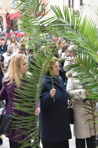 Pula: Procesija kroz grad i misa u katedrali povodom blagdana Cvjetnice