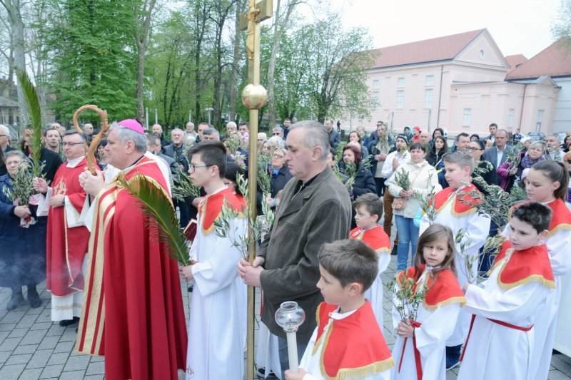 Sisak: Procesiju Cvjetnice i blagoslov maslinovih grančica predvodio biskup Vlado Košić