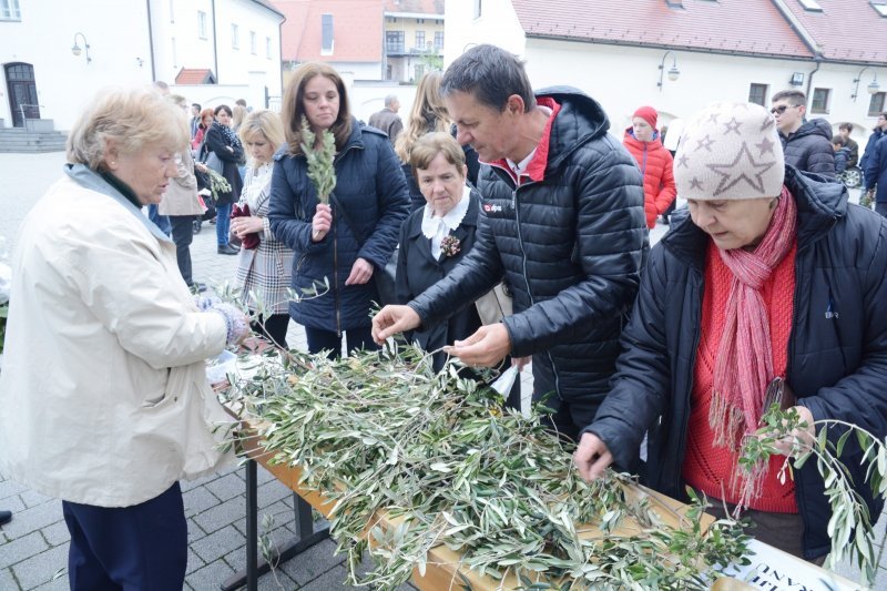 Sisak: Procesiju Cvjetnice i blagoslov maslinovih grančica predvodio biskup Vlado Košić