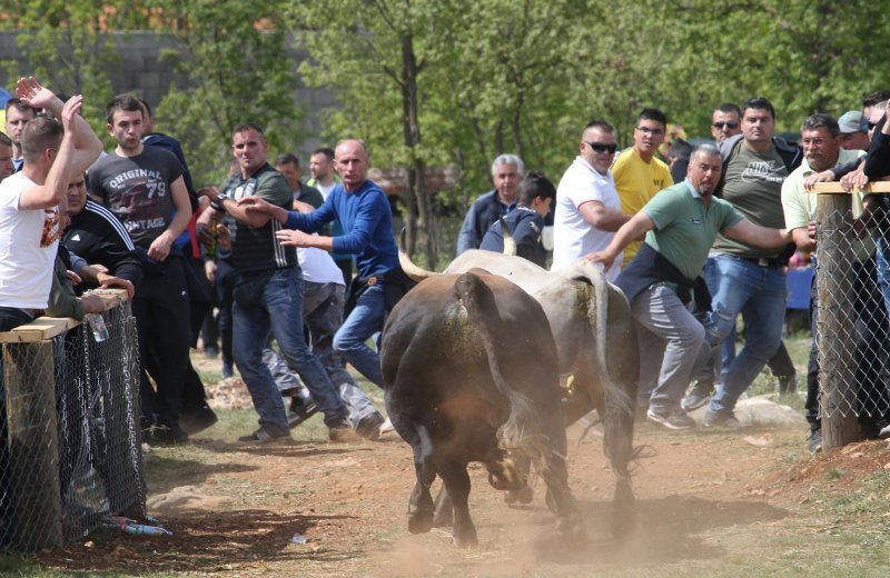 Dicmo: 15. bikijada braće Kokan