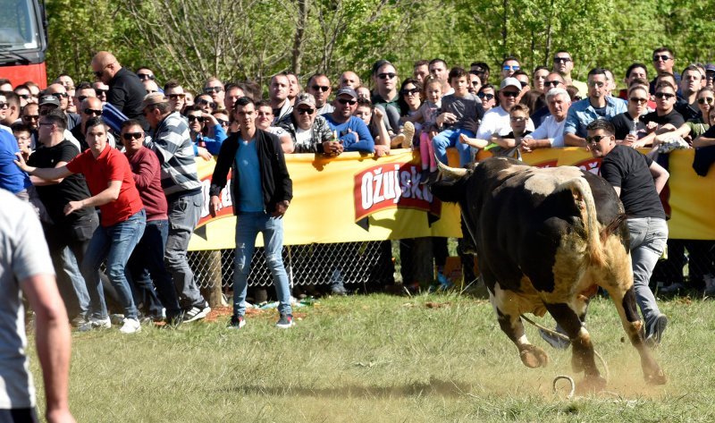 Dicmo: 15. bikijada braće Kokan