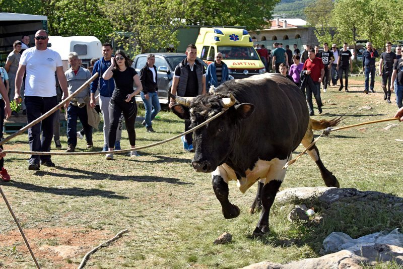 Dicmo: 15. bikijada braće Kokan