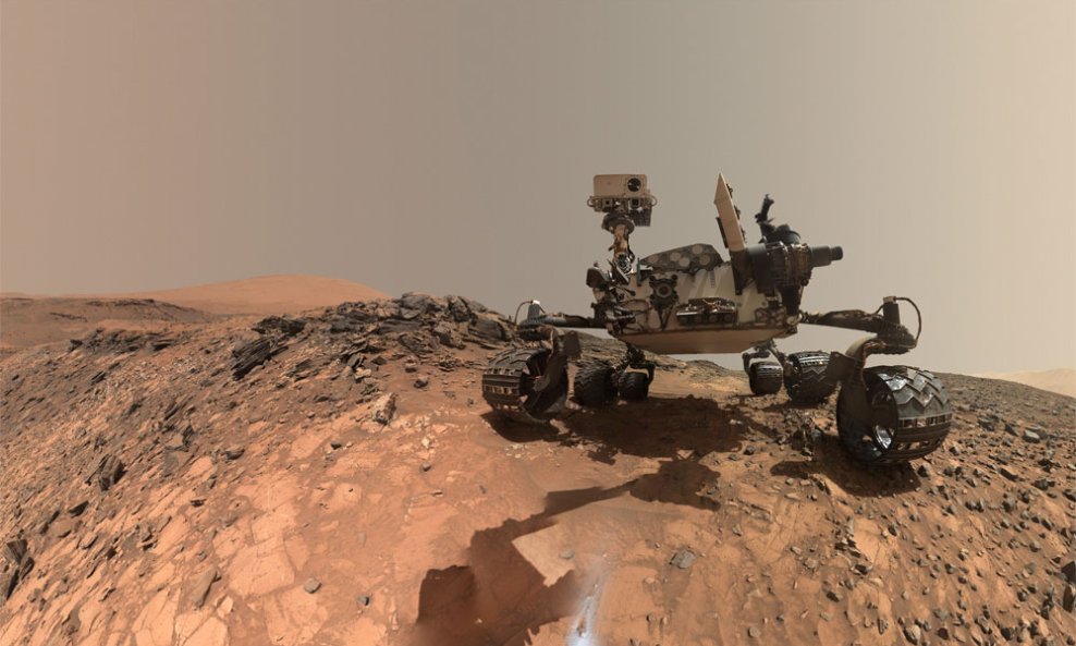 Curiosity-selfie