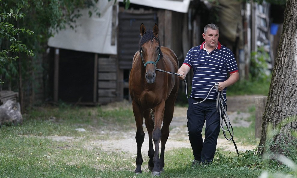 Enimark Ponjević