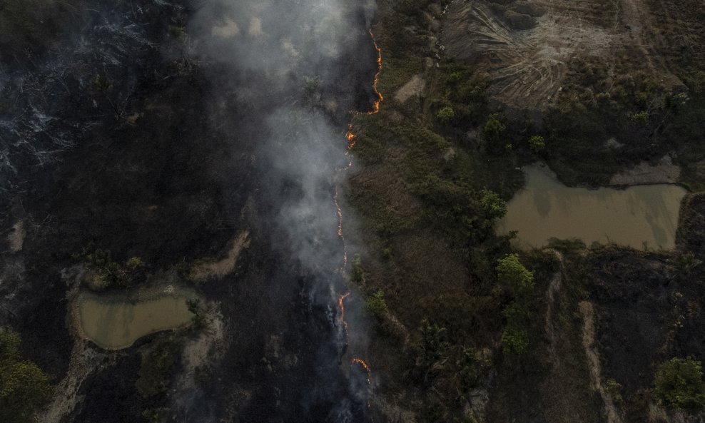 Amazonija, Brazil