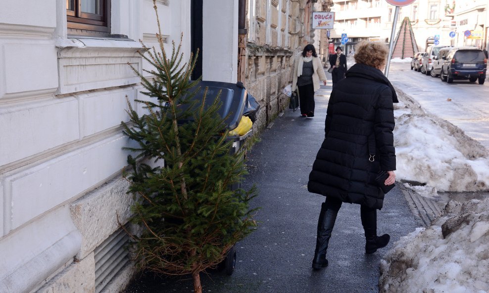 Božićno drvce odbačeno